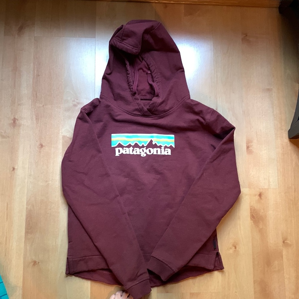 EUC Patagonia hooded sweatshirt